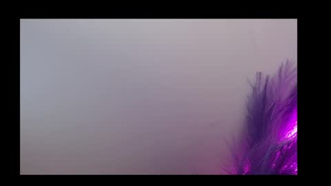 Snapshot of queen_rosee_ chatting on 02.05.26 Queen Rosee online show from 02.05.26