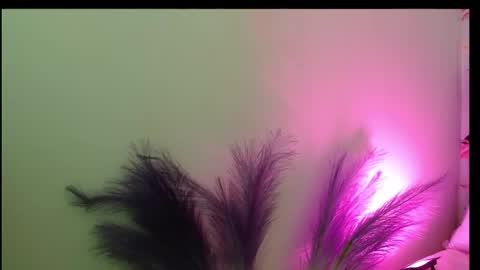 Snapshot of queen_rosee_ chatting on 02.25.26 Queen Rosee online show from 02.25.26