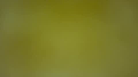 quinnxx online show from 02.08.26