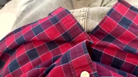 rad2615782 online show from 02.10.26