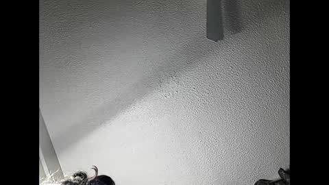 Snapshot of ramonajas chatting on 02.21.25 RamonaJ online show from 02.21.25