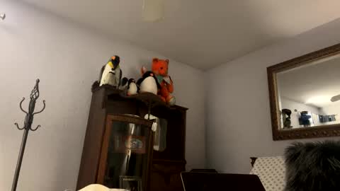    RAMONA Q   online show from 12.04.25