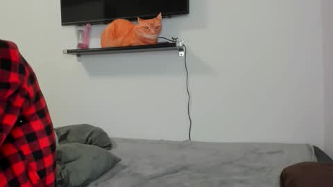 Raveneusbiter online show from 02.10.26