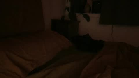 sebas online show from 02.06.25