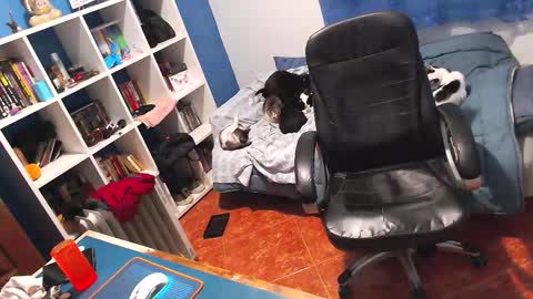 Snapshot of ravingr3d3 chatting on 02.02.26 ravingr3d3 online show from 02.02.26