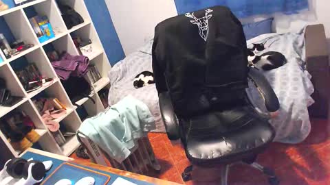 Snapshot of ravingr3d3 chatting on 02.05.26 ravingr3d3 online show from 02.05.26