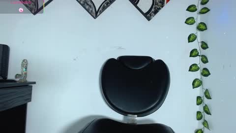 Ray  online show from 02.12.25