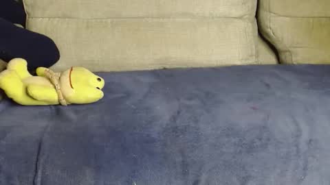 Ray  online show from 03.14.26