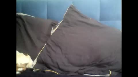 rayday_ online show from 03.09.25