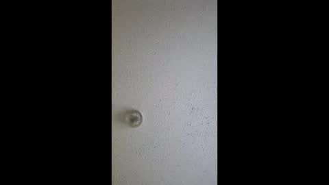 razalgirls online show from 03.03.26