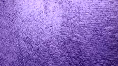 Snapshot of reafrio chatting on 10.21.25 Rasta online show from 10.21.25