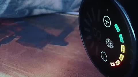 realrubpirate online show from 04.12.26