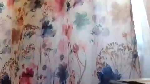 Snapshot of recka810 chatting on 02.20.25 recka810 online show from 02.20.25