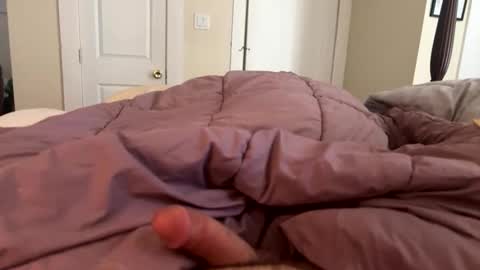 reddy4round4 online show from 02.10.26