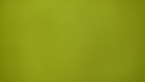 Redplume online show from 02.12.26