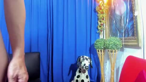 MIA online show from 02.08.25