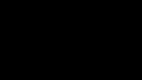 reinarica online show from 04.08.26