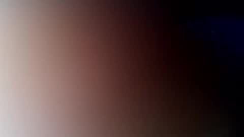 reinft online show from 02.19.26