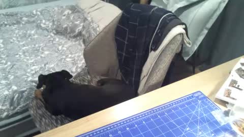 reunionussr online show from 11.16.25