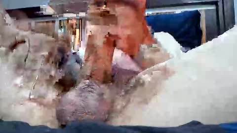 Rexwanker4everyone online show from 03.06.25