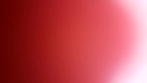 rhino69xx online show from 12.08.24