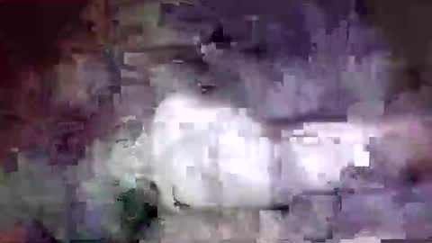 richard11268869 online show from 12.24.24