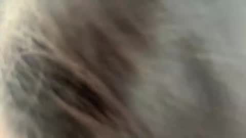 Snapshot of rickistegemann chatting on 02.27.26 Ammy here its my first stream here online show from 02.27.26