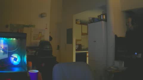 rickl56 online show from 01.07.26