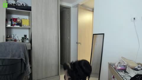 RickyDicot 13 online show from 09.27.25