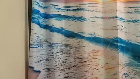 Snapshot of ridiculousness00 chatting on 01.09.25 bwc daddy online show from 01.09.25