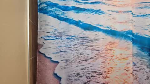 Snapshot of ridiculousness00 chatting on 01.12.26 bwc daddy online show from 01.12.26