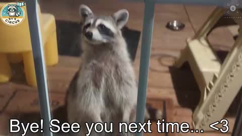 Ryan aka KeylimeRy online show from 10.24.25