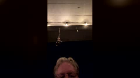 robertbrucemason online show from 02.27.26