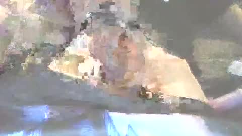 Snapshot of robertharley chatting on 12.02.25 robertharley online show from 12.02.25