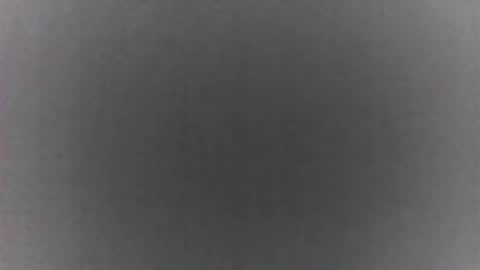 Snapshot of roberttocumcum chatting on 02.19.26 roberttocumcum online show from 02.19.26