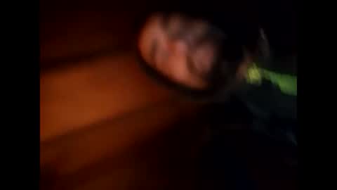 R online show from 01.28.25