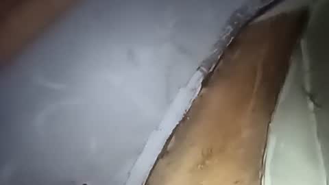 R online show from 10.01.25