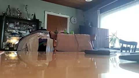 robke1966 online show from 01.22.25