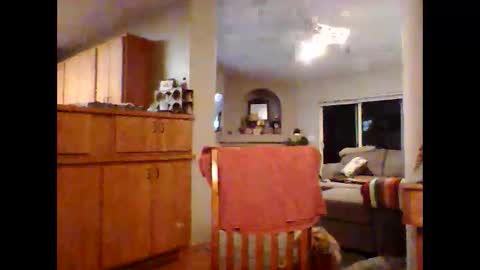 robo0000 online show from 11.20.25