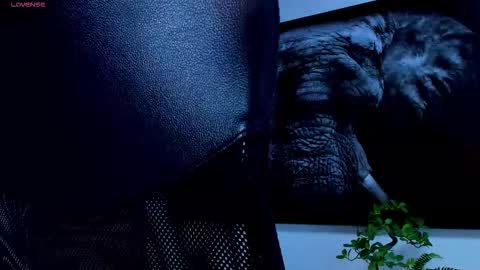 santos online show from 02.25.26