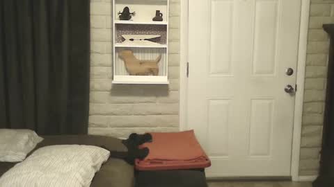 roinaz online show from 01.25.25