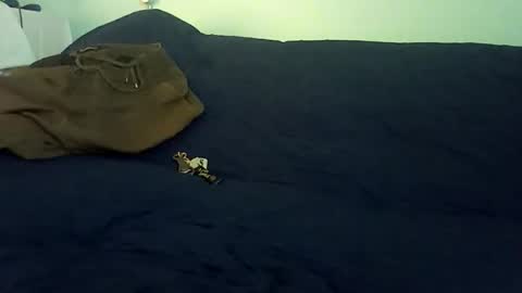 Snapshot of rojo22712 chatting on 02.25.26 Mr. Red online show from 02.25.26