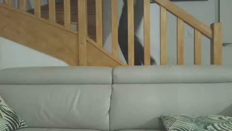 Snapshot of romaxaura_26 chatting on 03.03.26 Romain online show from 03.03.26