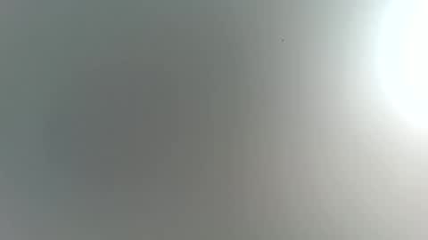 Trinked online show from 02.20.26