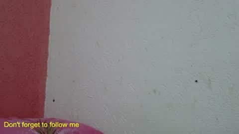 Snapshot of ronnispoto chatting on 01.31.25 ronny online show from 01.31.25