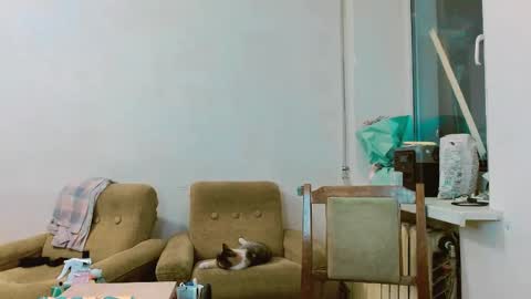 rosa843850 online show from 02.28.25