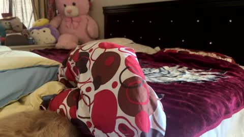 Snapshot of rose69904260 chatting on 07.30.26 Rose and Jacks Pay Room online show from 07.30.26