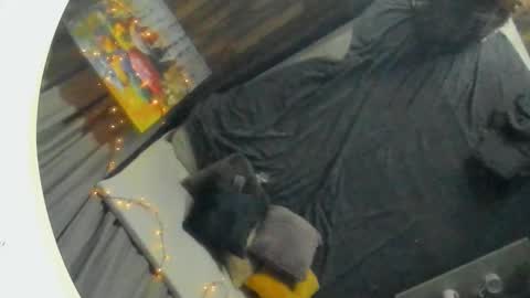 Florin online show from 02.27.25