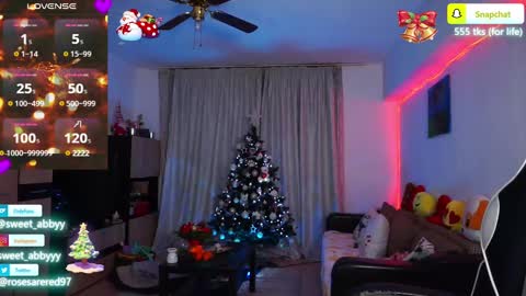 Snapshot of rosesarered97 chatting on 12.28.24 Abbygail online show from 12.28.24