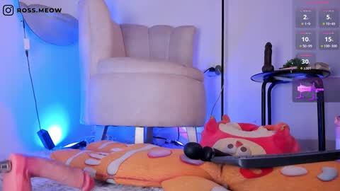 ross_meow online show from 03.06.26